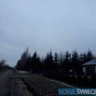 zdjęcie nr 7