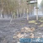 Fotka nr 4 z 10