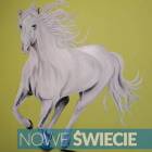 zdjęcie nr 9