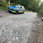 Fotka nr 2 z 4