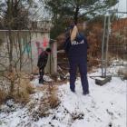 Fotka nr 5 z 6