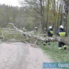 Fotka nr 3 z 17