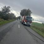 zdjęcie nr 7