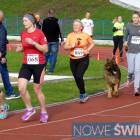 zdjęcie nr 19