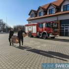 Fotka nr 5 z 21