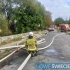 zdjęcie nr 8
