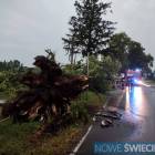 Fotka nr 2 z 18