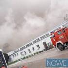 Fotka nr 3 z 11