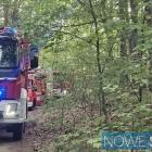 Fotka nr 1 z 3