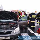 Fotka nr 2 z 3