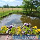 zdjęcie nr 33