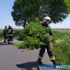 Fotka nr 3 z 10