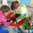 zdjęcie nr 23