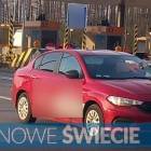 Fotka nr 2 z 3
