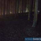 Fotka nr 1 z 2