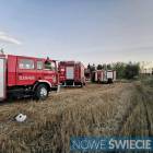 Fotka nr 2 z 4