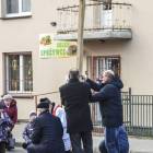 zdjęcie nr 8