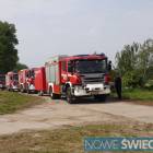 zdjęcie nr 10