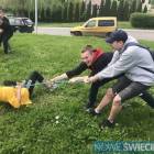 Fotka nr 1 z 3