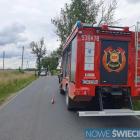 Fotka nr 5 z 6