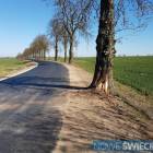 Fotka nr 4 z 9
