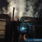 Fotka nr 4 z 15