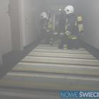 Fotka nr 1 z 5