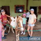 zdjęcie nr 18