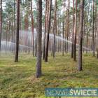 Fotka nr 1 z 21