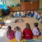 zdjęcie nr 39