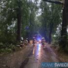 Fotka nr 1 z 18