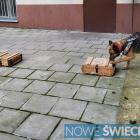 zdjęcie nr 17