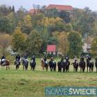 Fotka nr 3 z 11