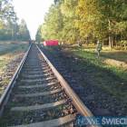 zdjęcie nr 11