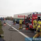 Fotka nr 2 z 4