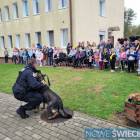zdjęcie nr 17