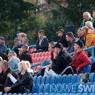 zdjęcie nr 15