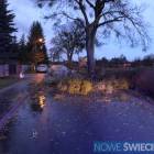 zdjęcie nr 25