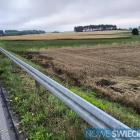 Fotka nr 5 z 10