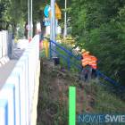 Fotka nr 3 z 18