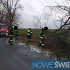 zdjęcie nr 12