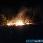 Fotka nr 0 z 4