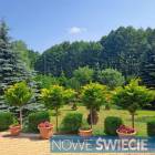 zdjęcie nr 59