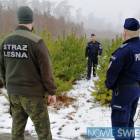 Fotka nr 2 z 6