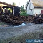 Fotka nr 3 z 12