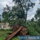 Fotka nr 2 z 5