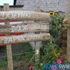 zdjęcie nr 14