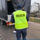 Fotka nr 2 z 14