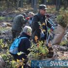 Fotka nr 1 z 8