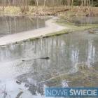 Fotka nr 5 z 11